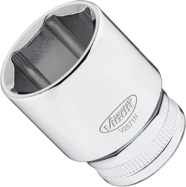 Padrun, VIGOR V2571N