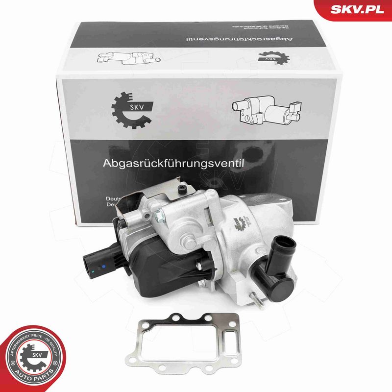 ESEN SKV 14SKV280 EGR Valve