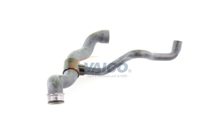 VAICO V30-1660 Radiator Hose
