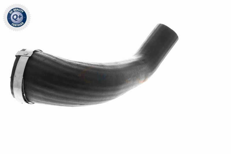 VAICO V25-1161 Charge Air Hose