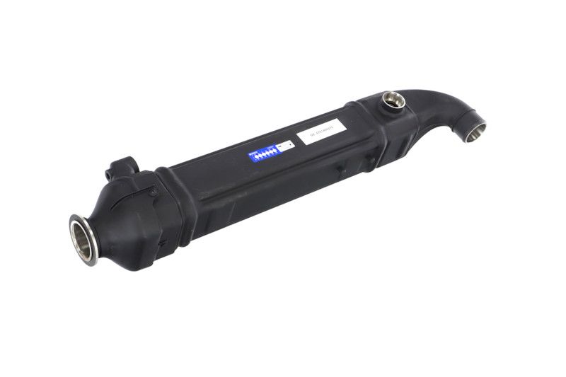 REMANTE 010-001-000025R EGR Module