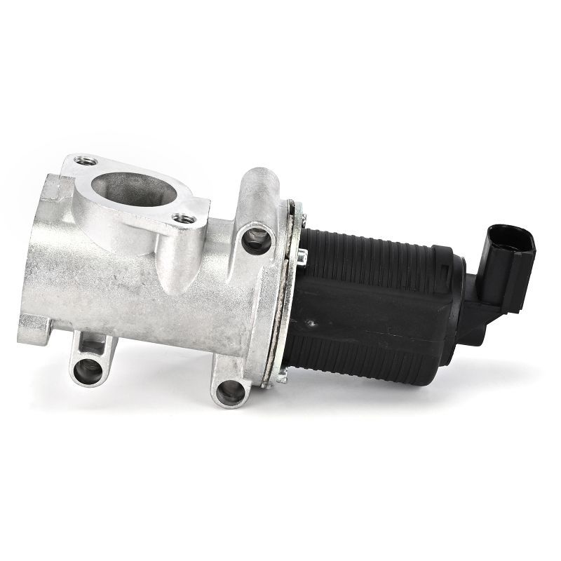 AGR-Ventil EG10403-12B1