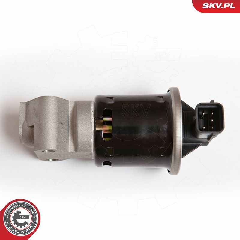ESEN SKV 14SKV053 EGR Valve