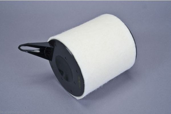 AUTOMEGA 180075010 Air Filter