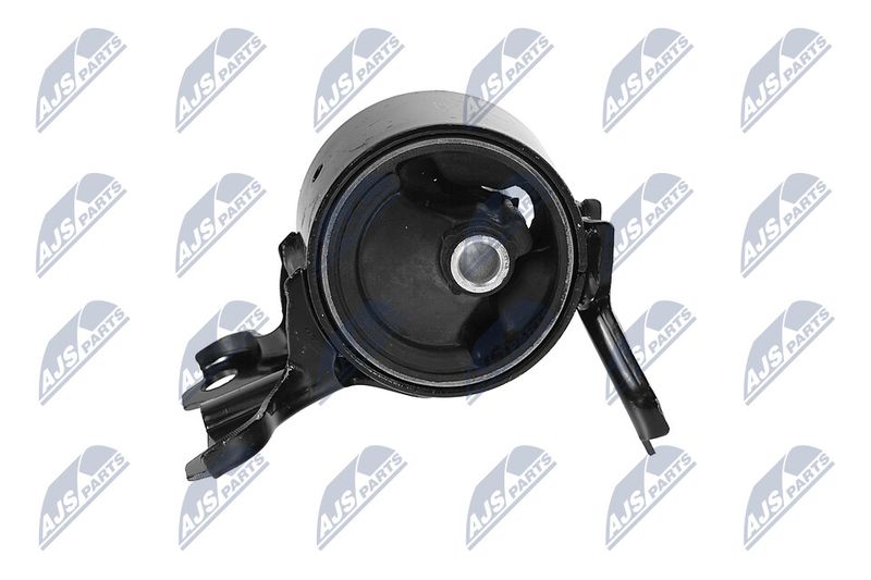 Paigutus, Mootor, NTY ZPS-CH-179