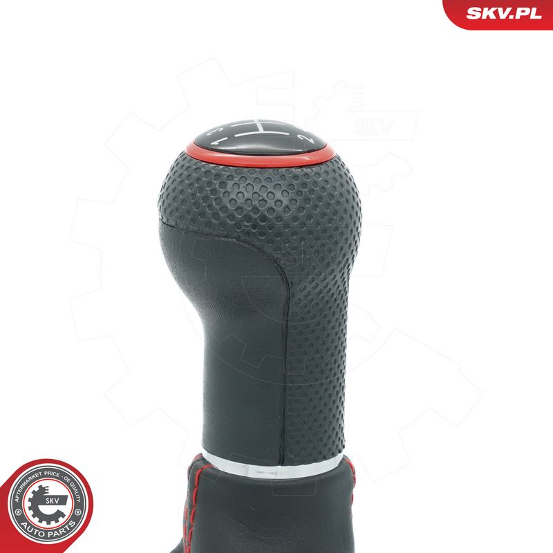 Käigukanginupp, ESEN SKV 63SKV461