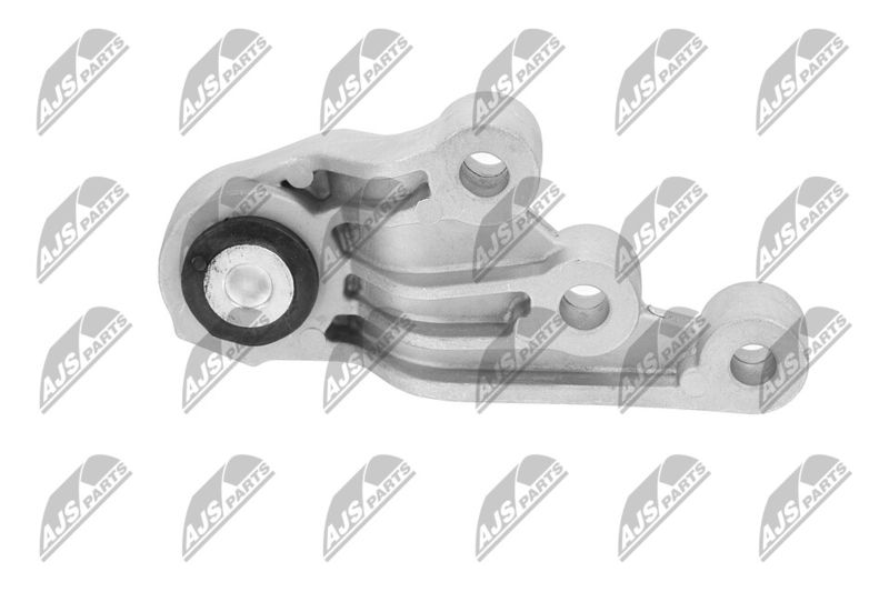 Paigutus, Mootor, NTY ZPS-CH-123