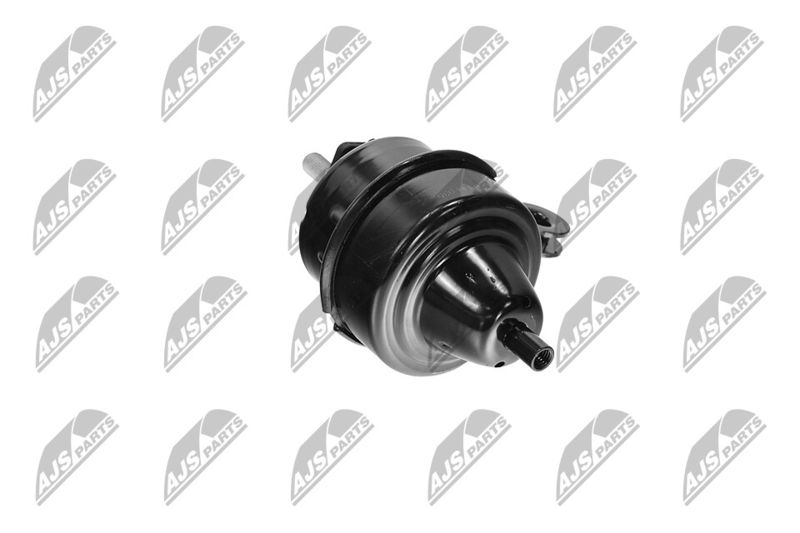 Paigutus, Mootor, NTY ZPS-BM-035