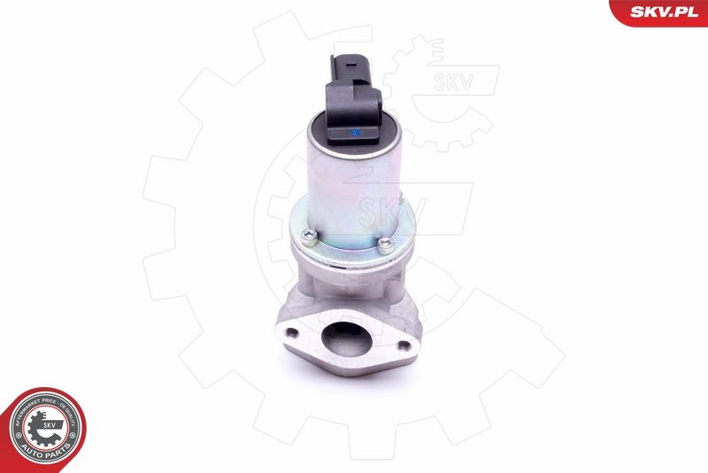 ESEN SKV 14SKV212 EGR Valve