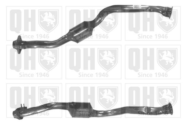 QH_QCAT80235H.JPG
