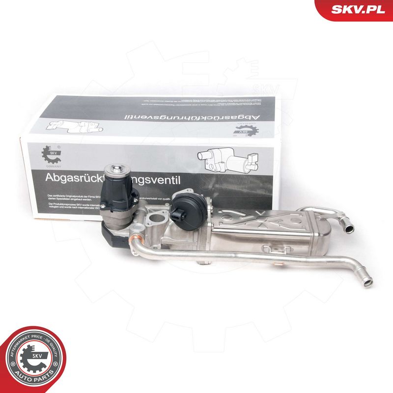 EGR-klapp, ESEN SKV 14SKV095