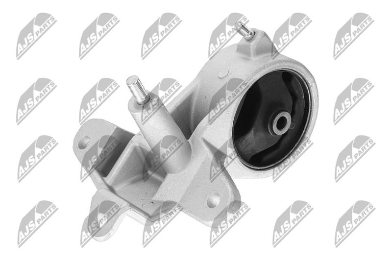 Paigutus, Mootor, NTY ZPS-DA-004