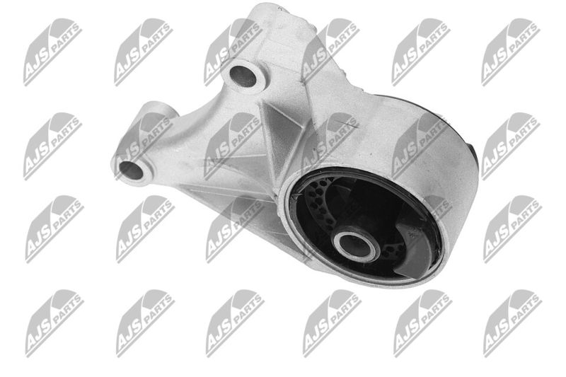 Paigutus, Mootor, NTY ZPS-PL-069