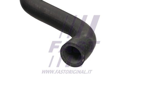 FT61880_3_1.JPG
