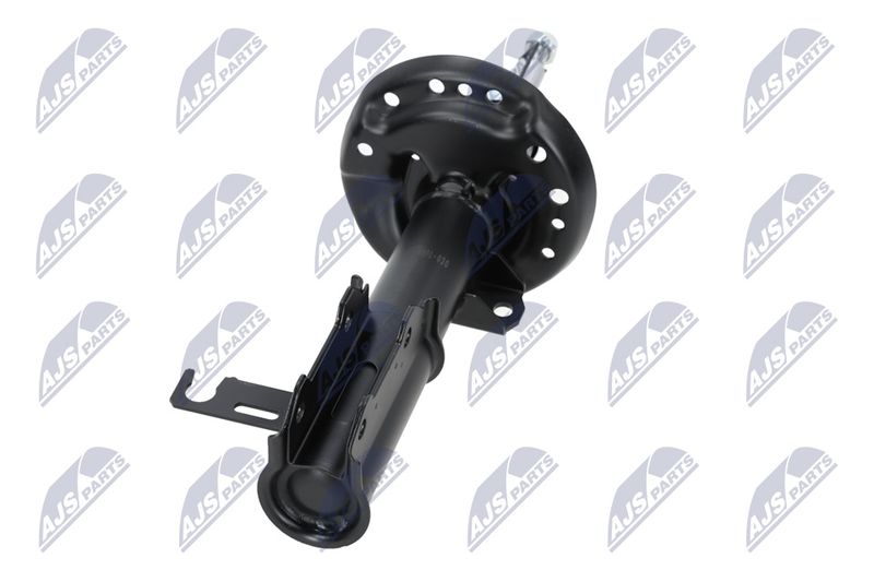 Amort, NTY A-PL-029