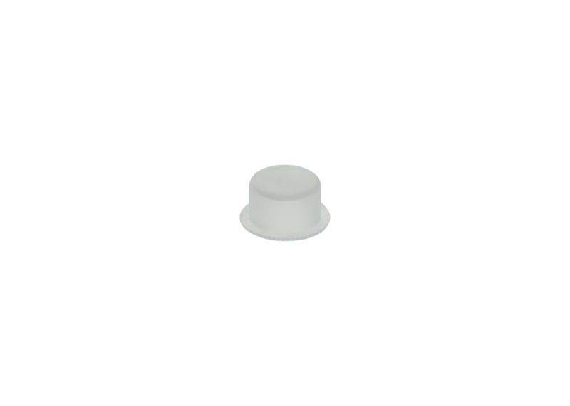 Capac 1 900 508 011 BOSCH