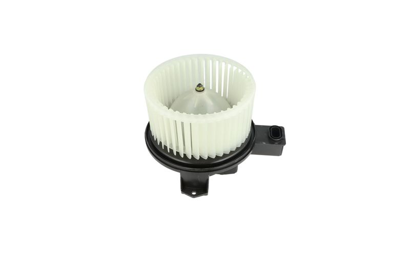 Salongipuhur, NRF 34345