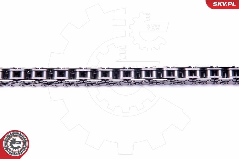 ESEN SKV 21SKV118 Timing Chain Kit