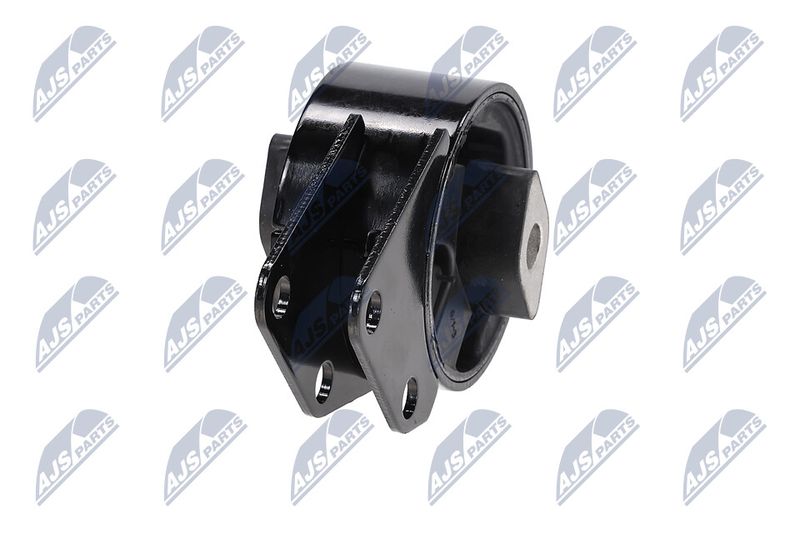 Paigutus, Mootor, NTY ZPS-CH-064