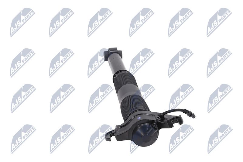Amort, NTY A-LR-022