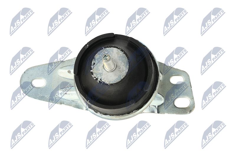 Paigutus, Mootor, NTY ZPS-FT-035