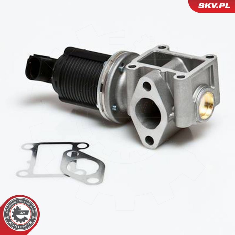 ESEN SKV 14SKV012 EGR Valve