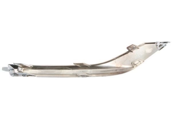 BLIC 6502-07-3184971CP Trim/Protection Strip, bumper