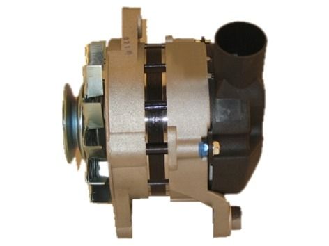 AG0219.JPG