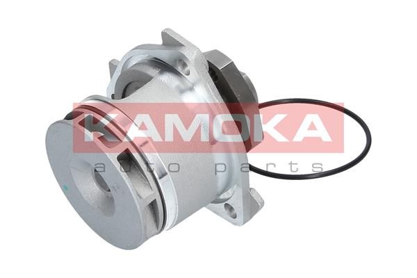 KAMOKA T0234 Water Pump, engine cooling