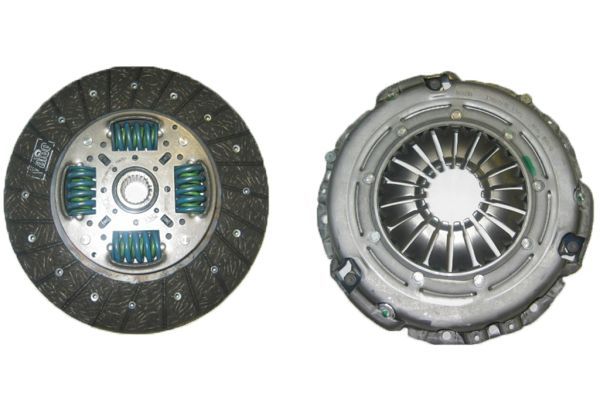 961671.JPG