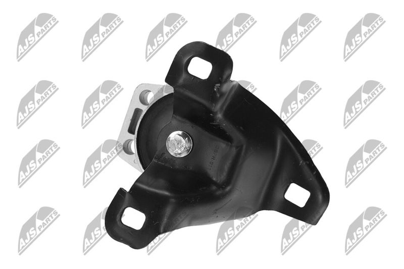 Paigutus, Mootor, NTY ZPS-FR-011