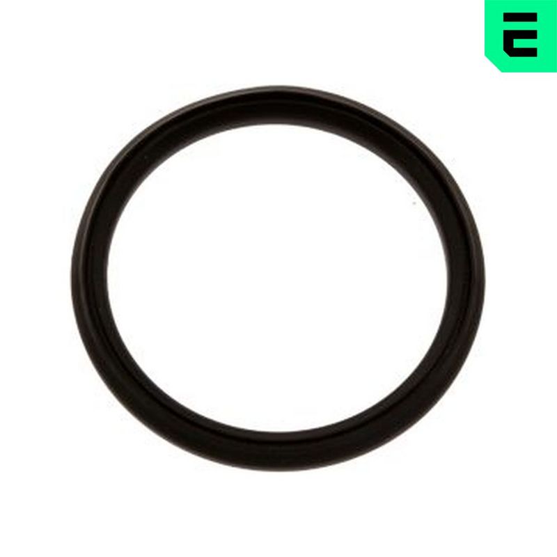 OPT_OP-EGE99048_WM_01.JPG