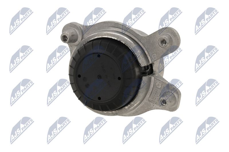 Paigutus, Mootor, NTY ZPS-ME-029