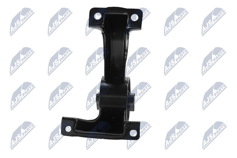 Paigutus, Mootor, NTY ZPS-CH-169