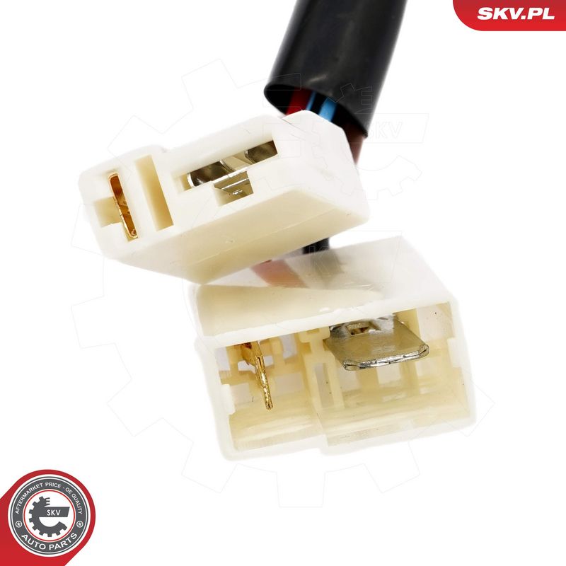 Roolilukk, ESEN SKV 65SKV215