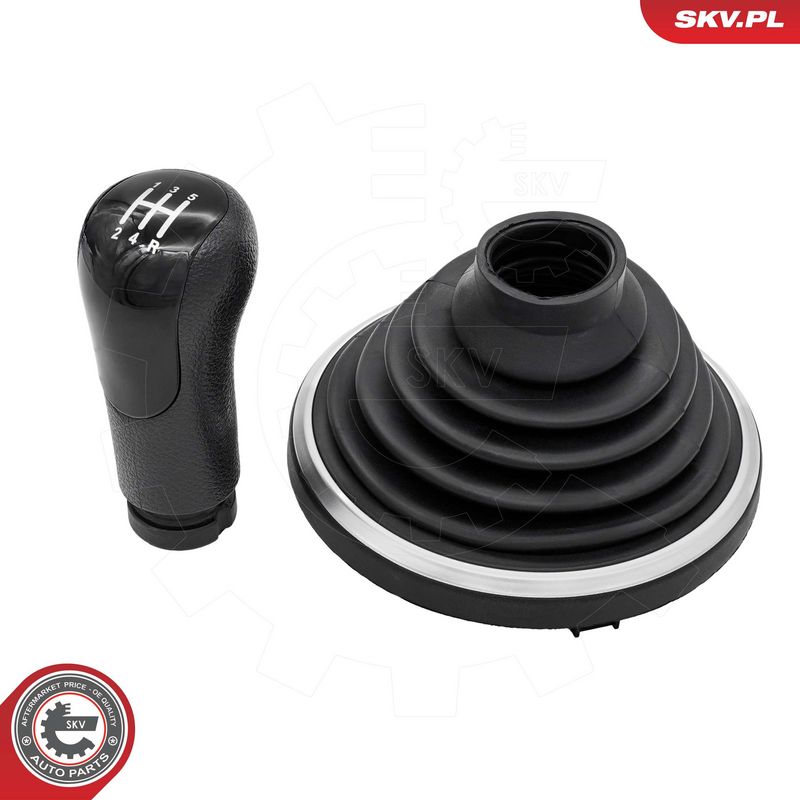 Käigukanginupp, ESEN SKV...