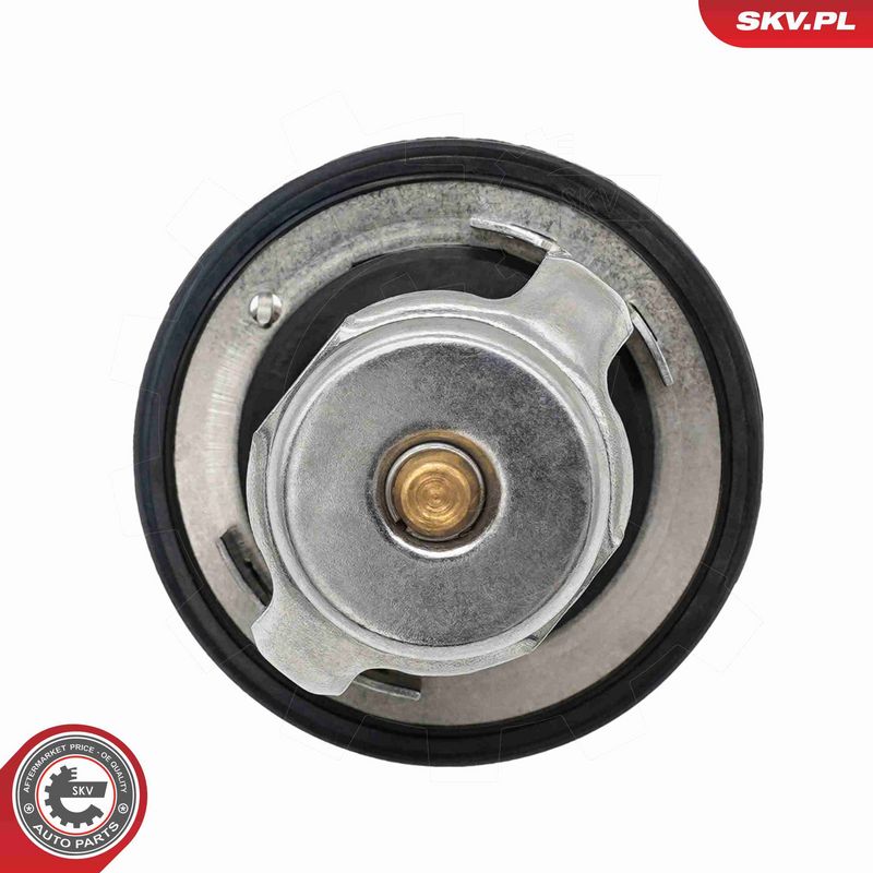 ESEN SKV 20SKV235 Termostatas