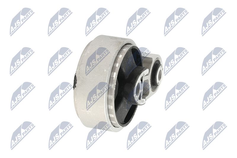 Paigutus, Mootor, NTY ZPS-BM-039