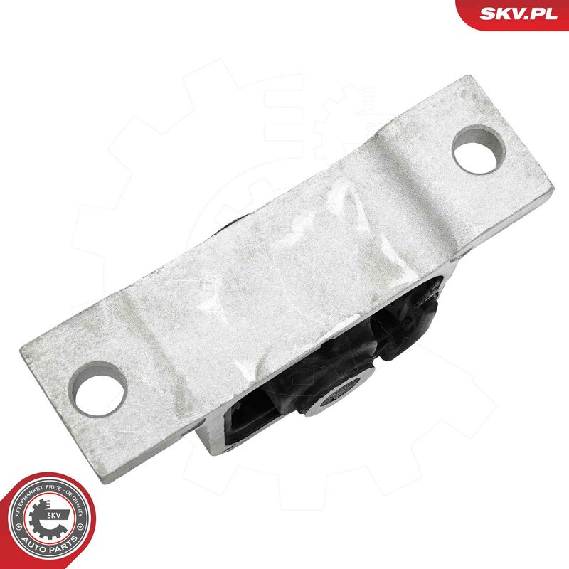 Paigutus, Mootor, ESEN SKV 75SKV259