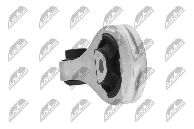 Paigutus, Mootor, NTY ZPS-FT-042