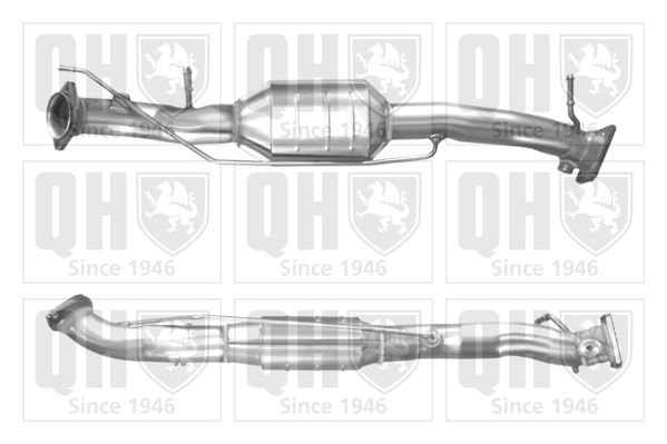 QH_QCAT80759H.JPG