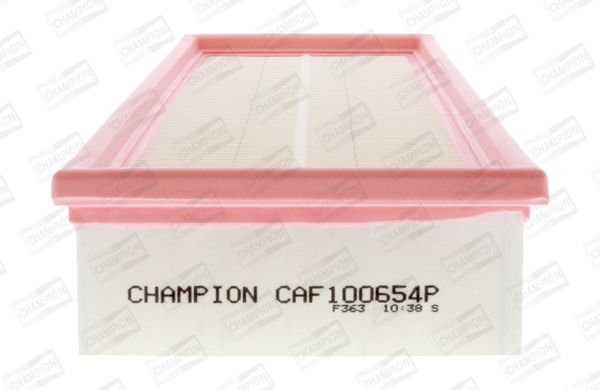 CAF100654P_333847.JPG