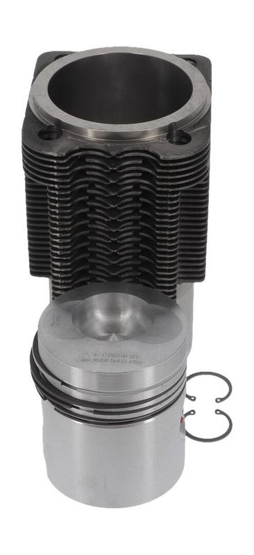 nüral Kit réparation Piston, Chemise cylindre 88-172500-00