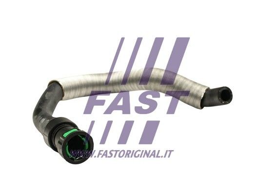 FT61135_1_1.JPG