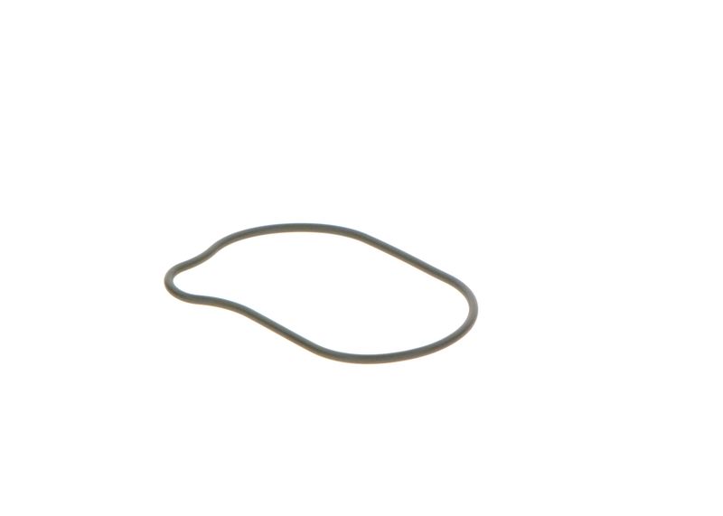 BOSCH 2440210028 Rubber Ring