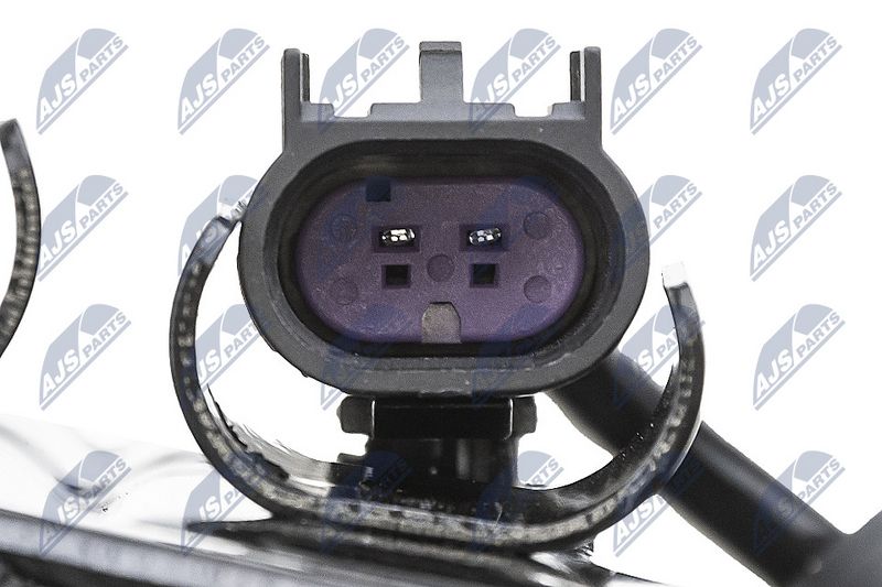 Amort, NTY A-CH-091