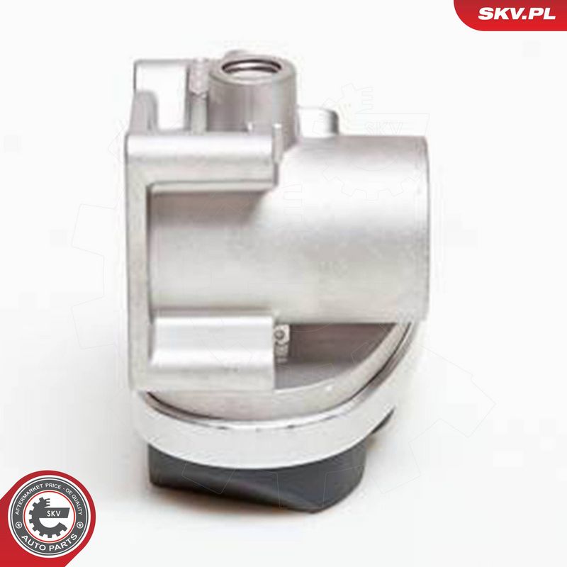 ESEN SKV 12SKV030 Throttle Body