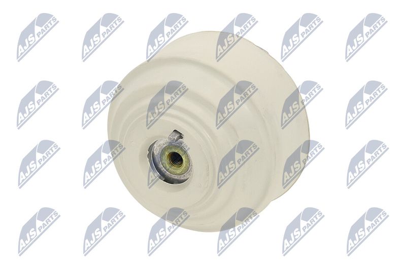 Paigutus, Mootor, NTY ZPS-ME-102