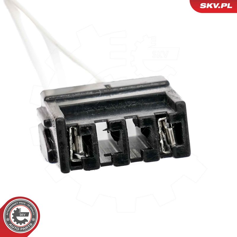 Roolilukk, ESEN SKV 65SKV223