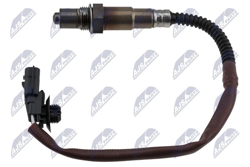 ESL-RE-014_1-WM.JPG